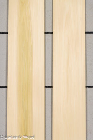 POPLAR 24418-2B