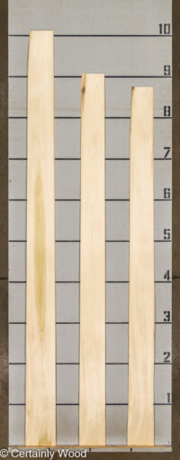 POPLAR_24418-2B_2.jpg