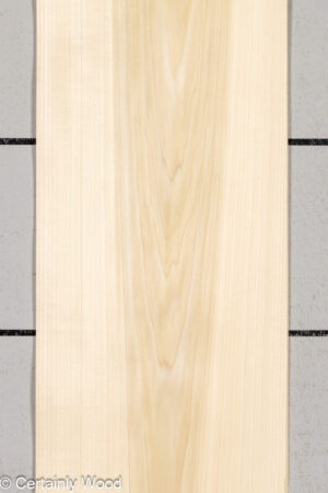 POPLAR 25407-1B