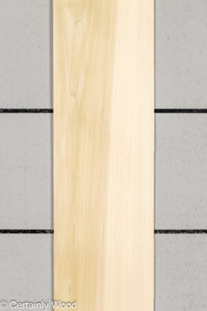 POPLAR 25407-1D