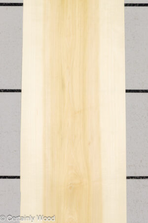 POPLAR 25408-1A