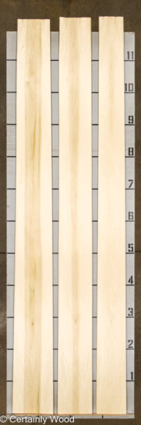 POPLAR_25408-1B_2.jpg