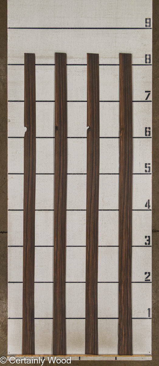 QT EBONY 25360 - Image 2