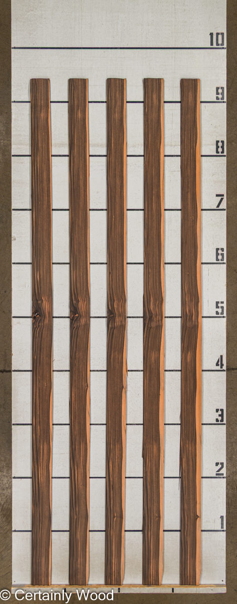 QT EBONY 25364-1 - Image 2