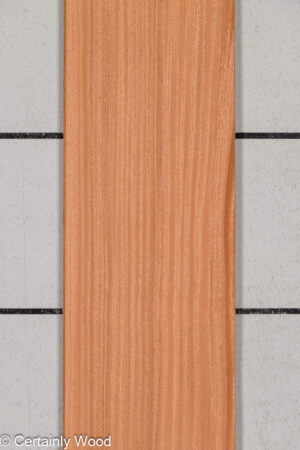 QT SAPELE 26023-1