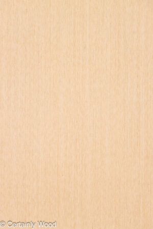 RC RF W OAK - 10