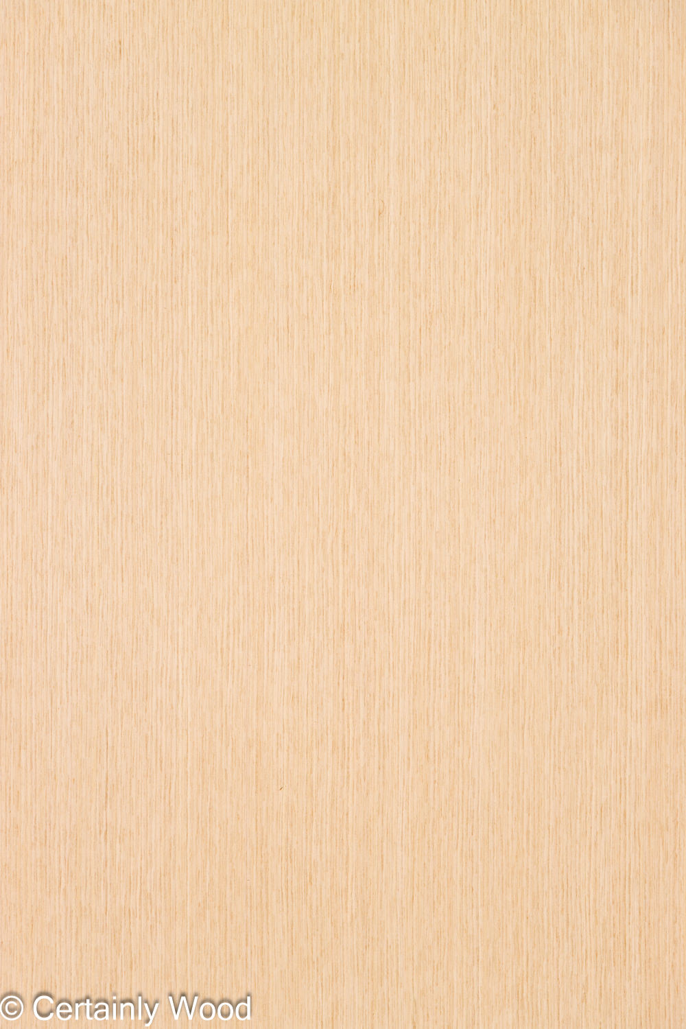 Featured Product Image