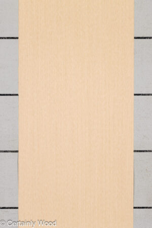 RC RF W OAK - 8 - 24