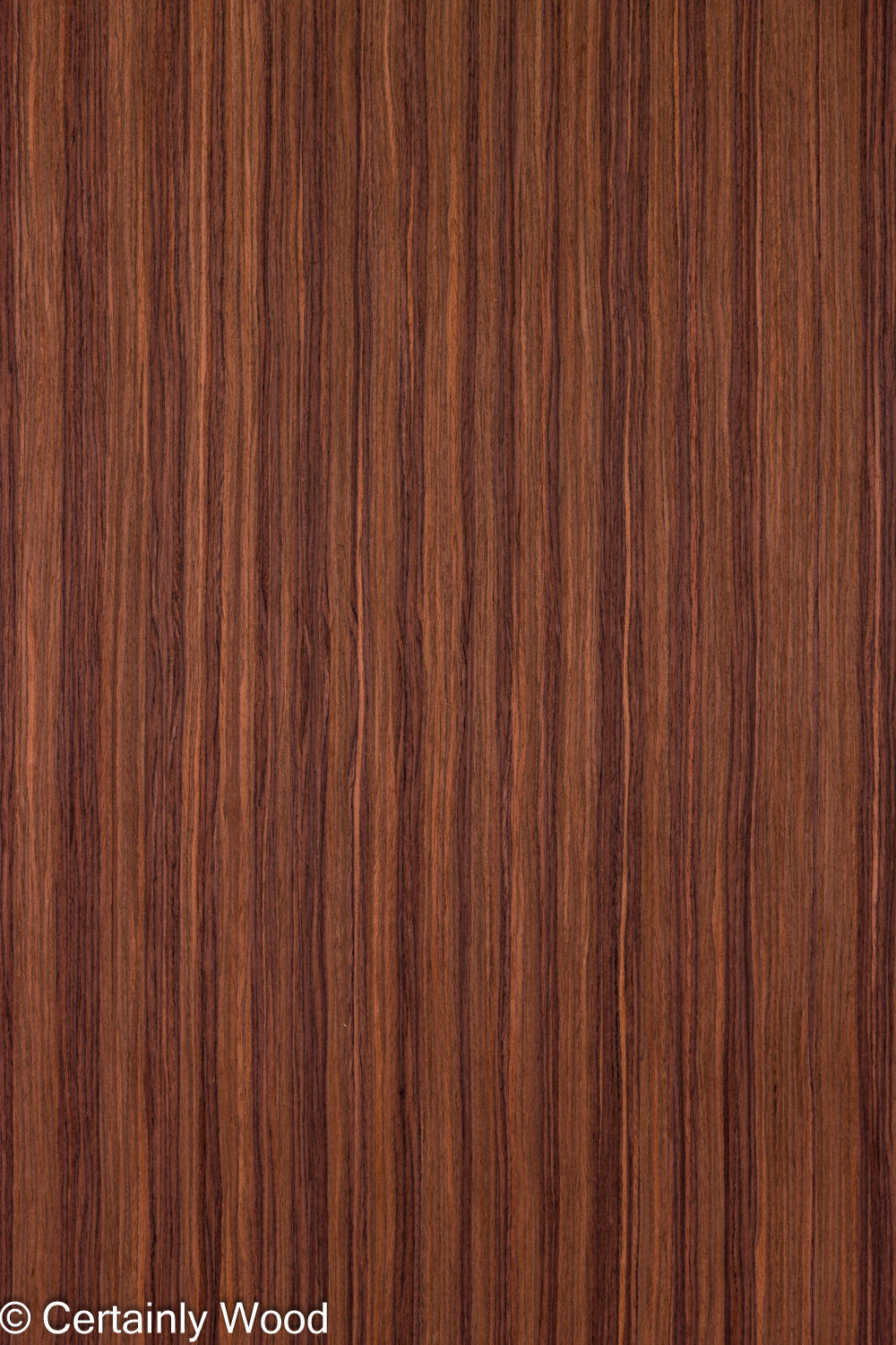 Featured Product Image