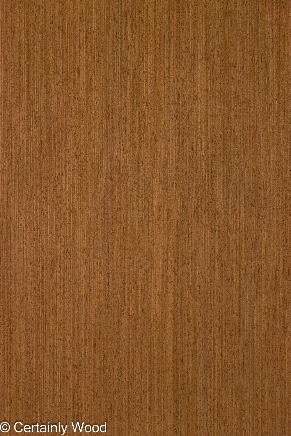 Featured Product Image