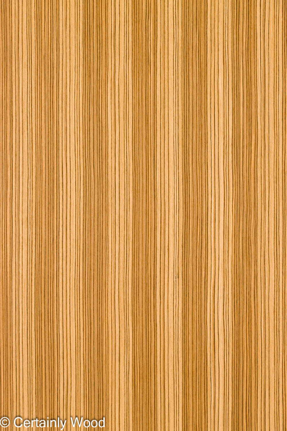 Featured Product Image