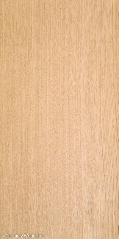 RF_EU_W_OAK_1605-1_1.jpg