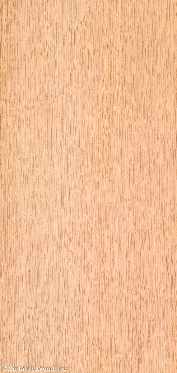 RF_EU_W_OAK_18391-2_01-1.jpg