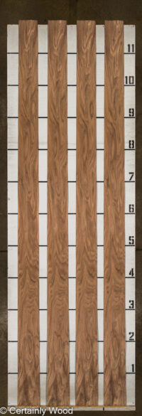 R_WALNUT_25146-1_2.jpg