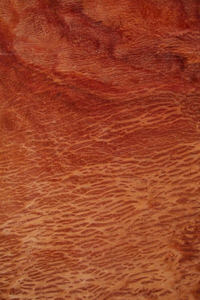 Featured Product Image