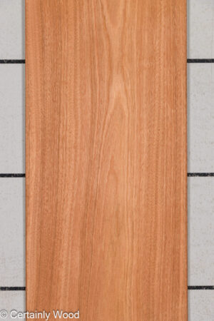 SAPELE 26021-2