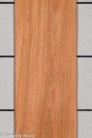 SAPELE 26021-4