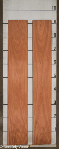 SAPELE_26022-1A_2.jpg