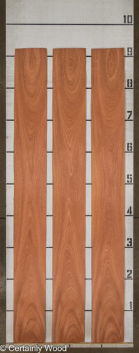SAPELE_26022-1B_2.jpg