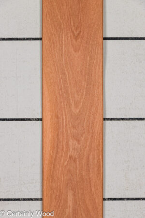 SAPELE 26022-1C