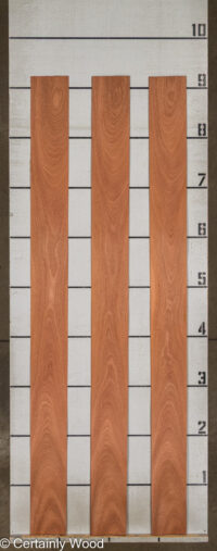 SAPELE_26022-1C_2.jpg