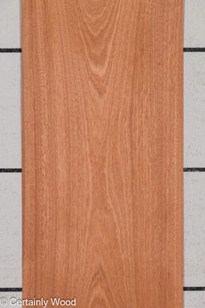 SAPELE 26022-2A