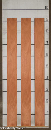 SAPELE_26022-2B_2.jpg