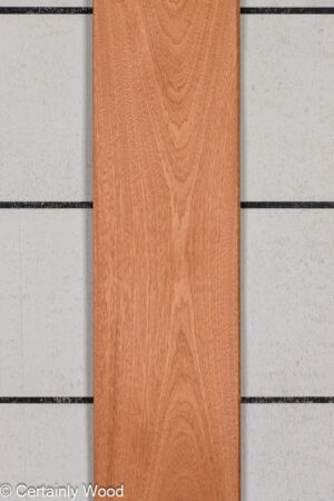SAPELE 26022-2C