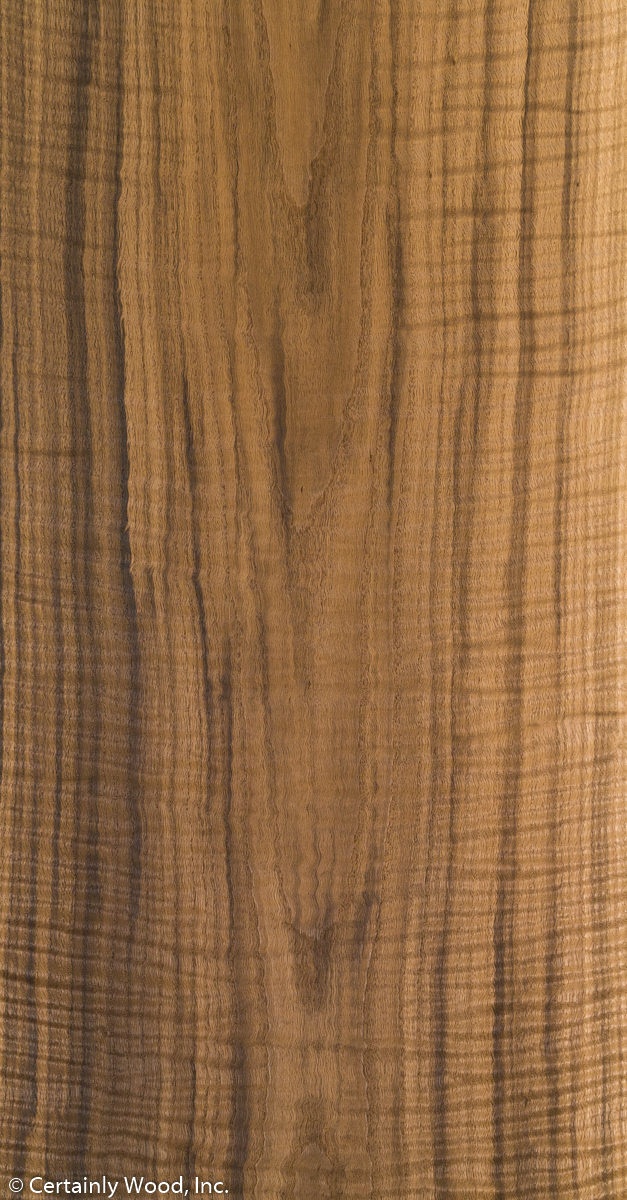 SM_OAK_20086-2A_01.jpg
