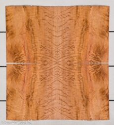ST_REDWOOD_19301-2_04.jpg