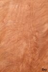SW_Bubinga_701_01.jpg