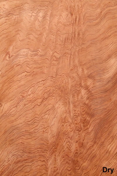 SW_Bubinga_701_01.jpg