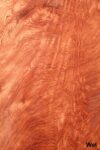 SW_Bubinga_701_03.jpg