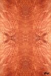 SW_Bubinga_701_09.jpg