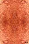 SW_Bubinga_701_10.jpg