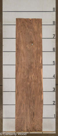 SW_WALNUT_25322-01_2.jpg