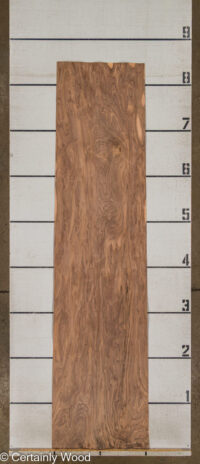 SW_WALNUT_25322-01_3.jpg