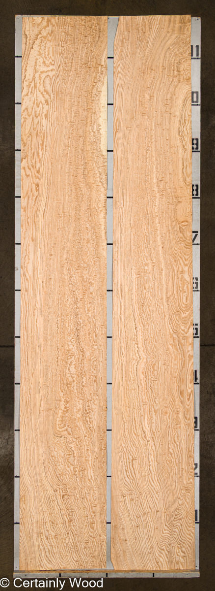 TAMO 25117-1B - Image 2