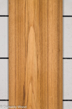 TEAK 24207-1