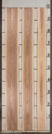 WALNUT_21206-1_2.jpg