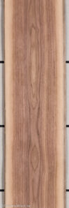 WALNUT_21255-1_1.jpg