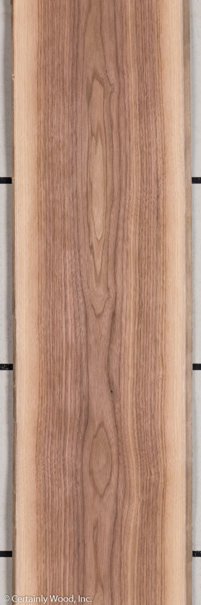 WALNUT_21255-1_1.jpg