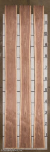 WALNUT_21255-1_2.jpg