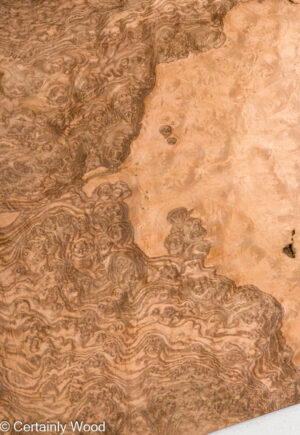 WAL BURL 1613-2