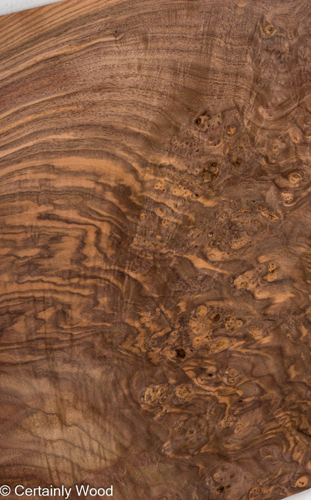 WAL_BURL_23516-11_1.jpg