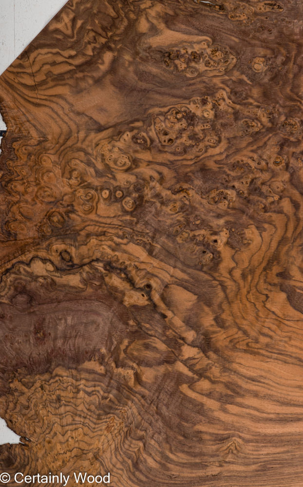 WAL_BURL_23516-12_1.jpg