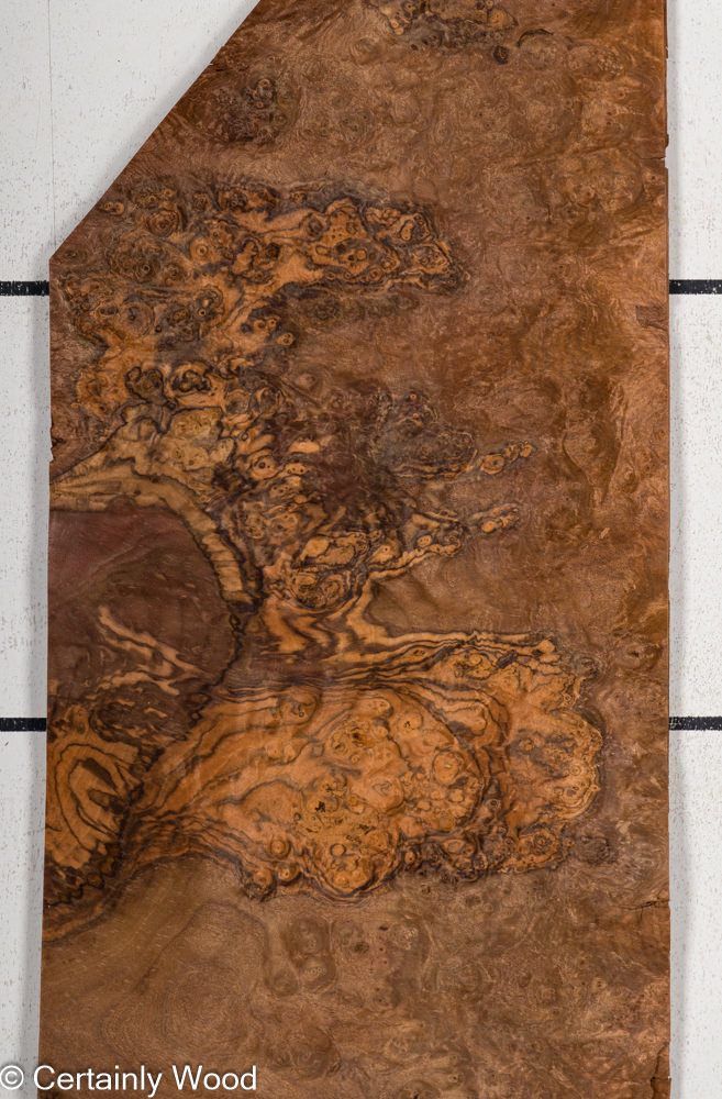 Featured Product Image