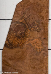 WAL_BURL_23516-8B_1.jpg
