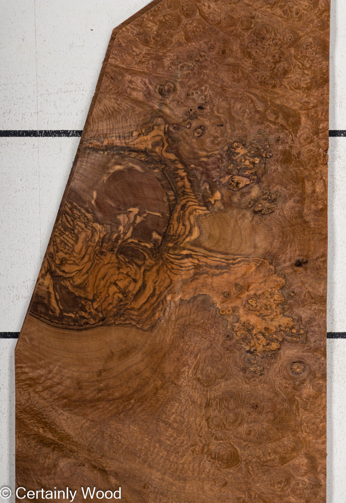 WAL_BURL_23516-8B_1.jpg