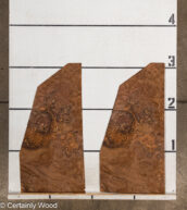 WAL_BURL_23516-8B_2.jpg
